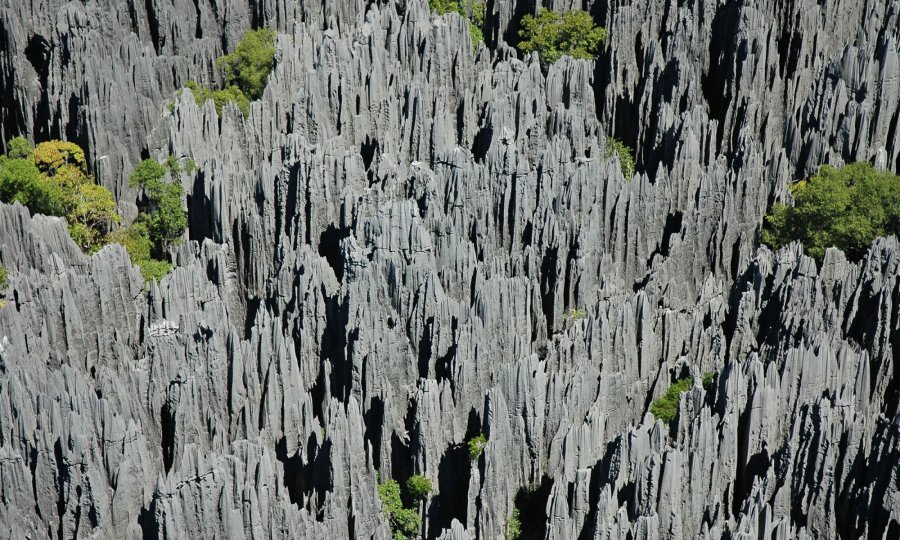 "Каменный лес" в заповеднике Цинги-дю-Бемараха на Мадагаскаре